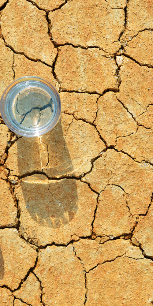 Water bottle and glass sitting on cracked ground in the sun.